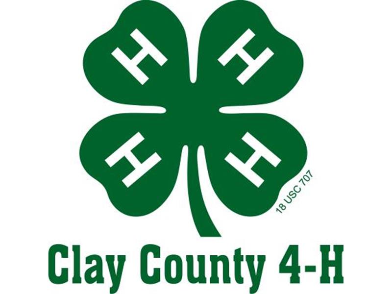 Logo for 2026 Clay County 4-H/FFA Fair