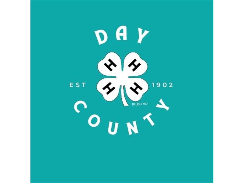Logo for 2026 Day County Fair